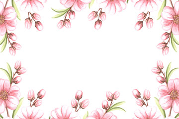 Obraz premium Almond pink flowers with leaves and buds watercolot horizontal frame isolated. Floral template with copy space from spring sakura, cherry blossom. Illustration of spring blooming fruit in sketch style