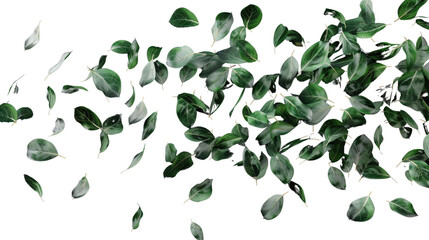 Whispering Leaves: A captivating display of green leaves gracefully suspended in mid-air, showcasing the beauty and movement of nature's delicate art.