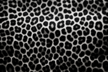 PNG leopard fur animal print texture, transparent background