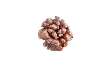 A top down view of a pine cone fritter donut, against a white background.