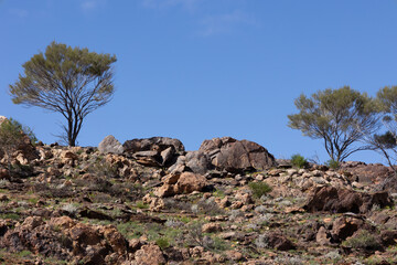 A broken, rugged landscape of weathered rocks on a ridge framed by mulga trees and blue sky in a...