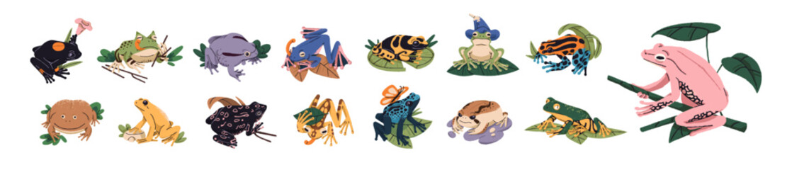 Set of exotic species of frogs. Cute froggies sit on lily leaves, have a rest. Poisonous toads, froglets. Tropical amphibian of rainforest. Flat isolated vector illustrations on white background