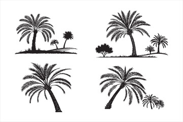 Fototapeta premium Palm tree