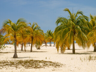 Cayo Largo del Sur, Touristenressort, Kuba