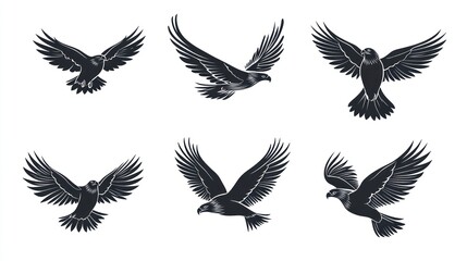 Fototapeta premium Six eagles in flight, isolated white background; design elements