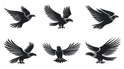 Obraz premium Six eagles in flight, various poses, white background, graphic design elements