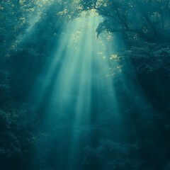 Obraz premium Sunlight Through Forest Canopy (1)