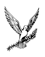 Vector drawing. Dove turn thorn branch into olife fruits