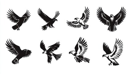 Obraz premium Eagles in flight, silhouette graphic design, royalty-free image