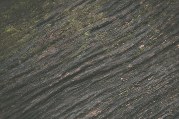 Old wood surface