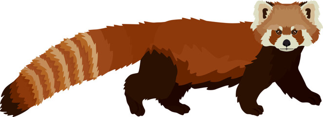 Red panda Flat vector illustration Isolated object.eps