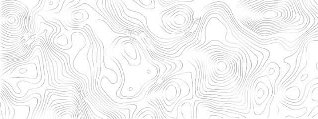 Contemporary Abstract Topographic Map with Geometric Lines and a Clean Modern Grid Layout on a White Background

