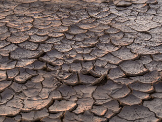 Dry and cracked ground