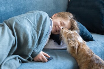 The dog friend licks his owner who lay down on the sofa to look at the phone. The dog is bored and needs attention. Young puppies are very active.