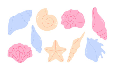 Collection of hand drawn sea shells on a white background