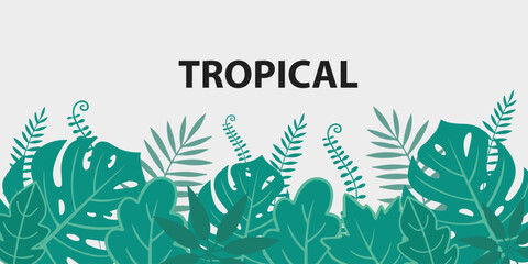 Colorful tropical summer background collection. Summer banner, poster design with exotic leaves. green nature abstract background with copy space.