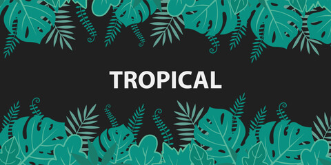 Colorful tropical summer background collection. Summer banner, poster design with exotic leaves. green nature abstract background with copy space.