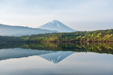 Mt Fuji reflected in Lake Saiko (Western Lake), Fuji Five Lakes, Fujikawaguchik, Yamanashi Prefecture, Honshu, Japan