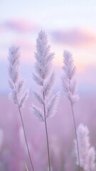 Fototapeta premium Minimalist feathery clouds drifting over a pale lavender sky, soft-focus and toned-down color scheme