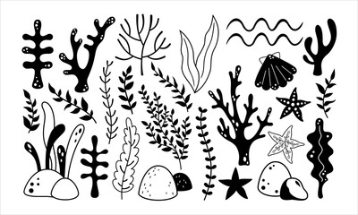 Ocean clipart set with seaweeds, starfish, shell. Black and white nautical isolated objects. Sea vector illustration