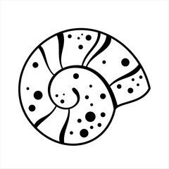 Black and white shell clipart, isolated cartoon sea doodle. Ocean hand drawn vector illustration in flat style