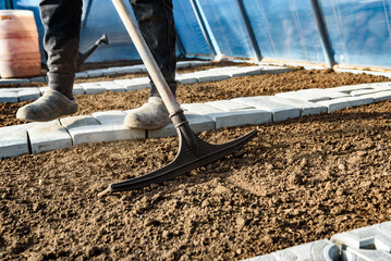 Gardener leveling soil with rake for spring planting of vegetables.