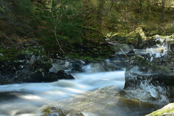 waterfall in the woods