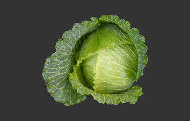 Obraz premium Isolated asian organic domestic cabbage head on white background with clipping paths.
