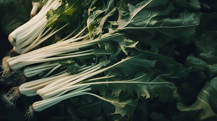 Obraz premium A bountiful harvest of lush nutrient rich organic vegetables with long green stalks and broad leaves showcasing the natural beauty and abundance of plant based produce