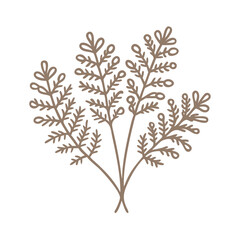 Fototapeta premium Golden Maidenhair Fern Line Art Illustration