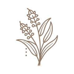 Lily of the Valley Line Art Illustration
