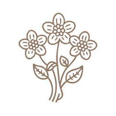 Hepatica Nobilis Flower Line Art Illustration