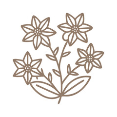 Mouse-ear Cerastium Fontanum Flower Outline