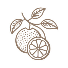 Minimalist Orange Fruit Illustration with Leaves © Lungani