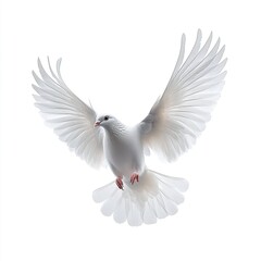 Obraz premium A free flying white dove isolated on transparent background - Generative AI