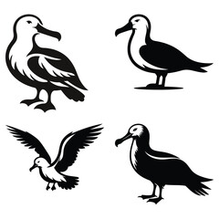 Collection of cute bird silhouettes in vector illustration