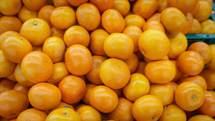 Vitamin C Bounty: A vibrant, eye-level shot showcasing a bountiful display of fresh oranges. The scene captures a healthy, abundant harvest, exuding freshness, and the natural.