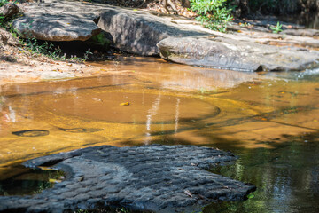 Cambodia, Phnom Kulen, beautiful river is in the middle of a lush green forest