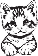 Cute kitten. Hand drawn vector illustration