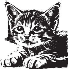 Cute kitten. Hand drawn vector illustration