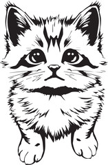 Cute kitten. Hand drawn vector illustration