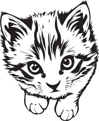 Cute kitten. Hand drawn vector illustration
