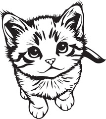 Cute kitten. Hand drawn vector illustration