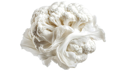 Close up shot of a fresh whole cauliflower with white florets and green leaves on a black background