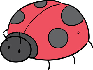Fototapeta premium Illustration of ladybug 
