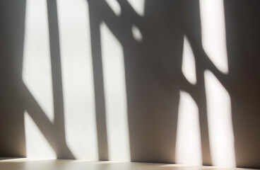 Monochrome Dark Room with Window Reflection