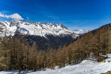 Chamonix-Mont-Blanc, Site du Montenvers, Mer de Glace