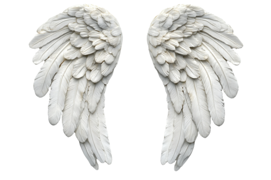 A pair of feathered angel wings with soft highlights, isolated on transparent background, PNG file.