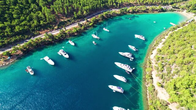 Paradise Bay (Turkish: Cennet Koyu) in Bodrum. Mugla, Turkey. One of the most beautiful bays in Bodrum with blue sea and nature. Drone shot.