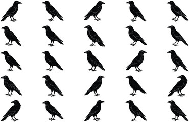 A VECTOR CROW